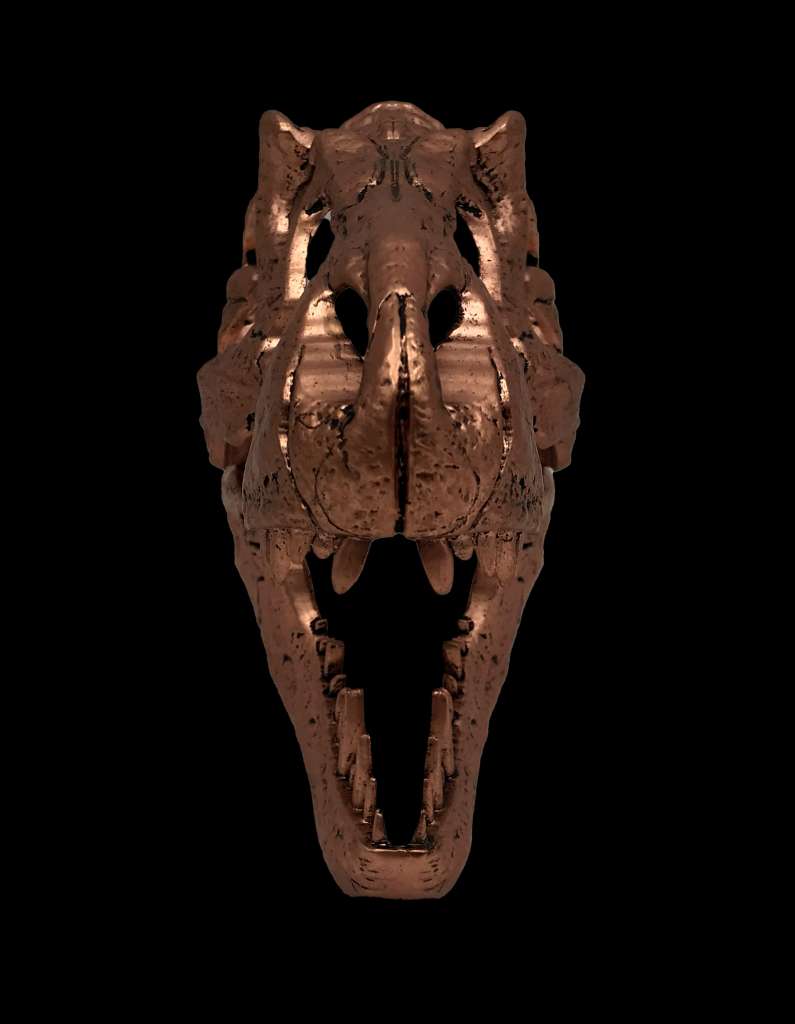 REPLICA Jurassic Park - T-Rex Skull Scaled Prop