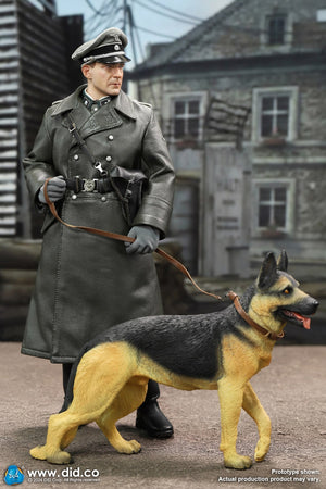 DID D80178 1/6 WWII German Officer - Amon Goth