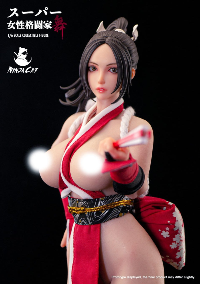 Ninja Cat N001 1/6 Female Fighter Mai