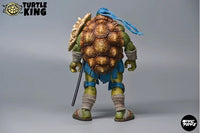 Turtle King TK-001 Turtle King Wandering Swordsman