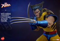 HOT TOYS HONO Marvel X-Men Figura 1/6 Wolverine (Unmasked) 28 cm