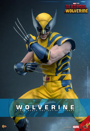 Hot Toys Deadpool & Wolverine Movie Masterpiece Figura 1/6 Wolverine 31 cm
