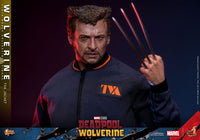 HOT TOYS Deadpool & Wolverine Movie Masterpiece Figura 1/6 Wolverine (TVA Jacket Version) 31 cm