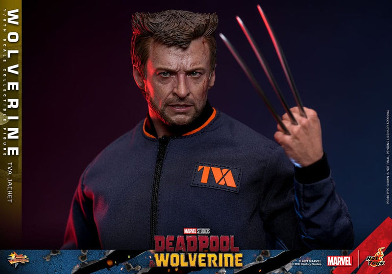 HOT TOYS Deadpool & Wolverine Movie Masterpiece Figura 1/6 Wolverine (TVA Jacket Version) 31 cm