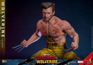 HOT TOYS Deadpool & Wolverine Movie Masterpiece Figura 1/6 Wolverine (TVA Jacket Version) 31 cm