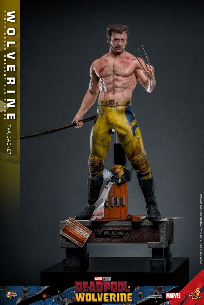 HOT TOYS Deadpool & Wolverine Movie Masterpiece Figura 1/6 Wolverine (TVA Jacket Version) 31 cm