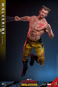 HOT TOYS Deadpool & Wolverine Movie Masterpiece Figura 1/6 Wolverine (TVA Jacket Version) 31 cm