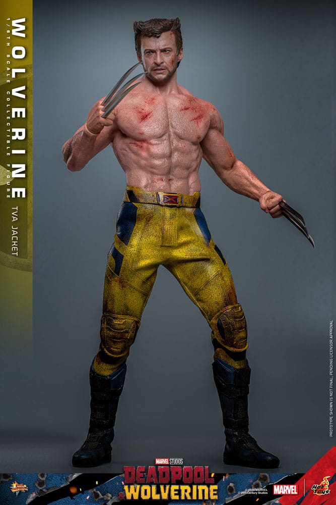 HOT TOYS Deadpool & Wolverine Movie Masterpiece Figura 1/6 Wolverine (TVA Jacket Version) 31 cm