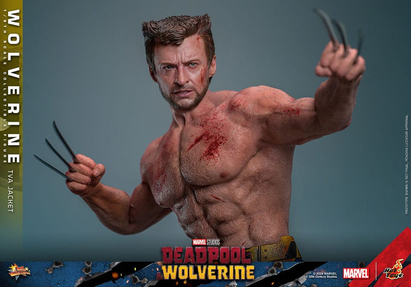 HOT TOYS Deadpool & Wolverine Movie Masterpiece Figura 1/6 Wolverine (TVA Jacket Version) 31 cm