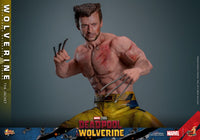 HOT TOYS Deadpool & Wolverine Movie Masterpiece Figura 1/6 Wolverine (TVA Jacket Version) 31 cm