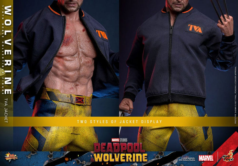 HOT TOYS Deadpool & Wolverine Movie Masterpiece Figura 1/6 Wolverine (TVA Jacket Version) 31 cm