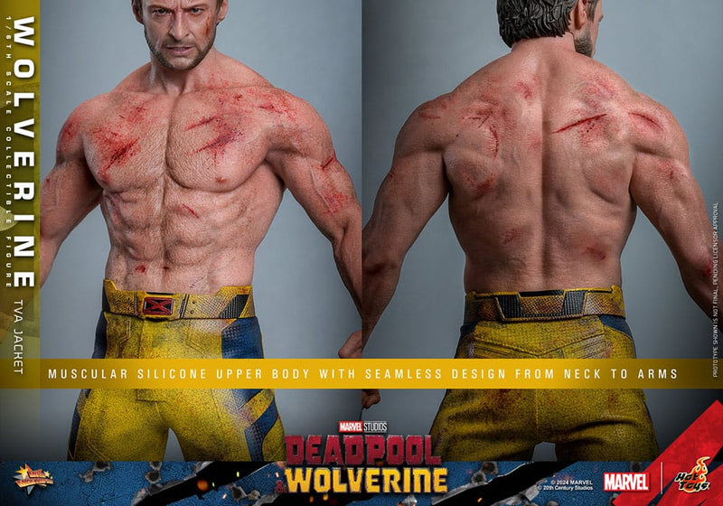 HOT TOYS Deadpool & Wolverine Movie Masterpiece Figura 1/6 Wolverine (TVA Jacket Version) 31 cm