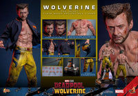 HOT TOYS Deadpool & Wolverine Movie Masterpiece Figura 1/6 Wolverine (TVA Jacket Version) 31 cm