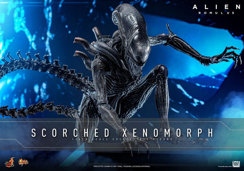 HOT TOYS Alien: Romulus Figura Movie Masterpiece 1/6 Scorched Xenomorph 44 cm