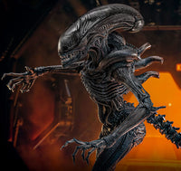 HOT TOYS Alien: Romulus Figura Movie Masterpiece 1/6 Scorched Xenomorph 44 cm