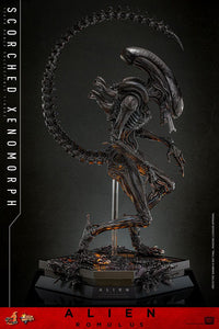 HOT TOYS Alien: Romulus Figura Movie Masterpiece 1/6 Scorched Xenomorph 44 cm