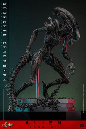 HOT TOYS Alien: Romulus Figura Movie Masterpiece 1/6 Scorched Xenomorph 44 cm