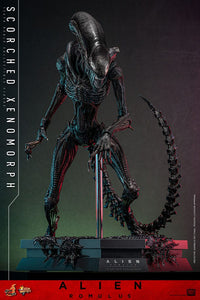 HOT TOYS Alien: Romulus Figura Movie Masterpiece 1/6 Scorched Xenomorph 44 cm