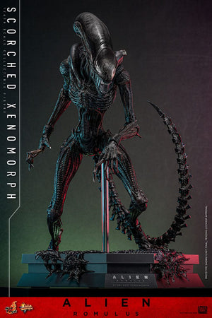 HOT TOYS Alien: Romulus Figura Movie Masterpiece 1/6 Scorched Xenomorph 44 cm