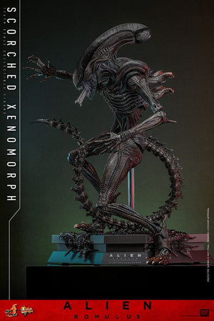 HOT TOYS Alien: Romulus Figura Movie Masterpiece 1/6 Scorched Xenomorph 44 cm