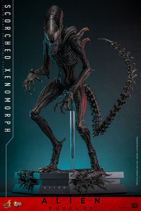 HOT TOYS Alien: Romulus Figura Movie Masterpiece 1/6 Scorched Xenomorph 44 cm