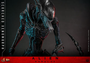 HOT TOYS Alien: Romulus Figura Movie Masterpiece 1/6 Scorched Xenomorph 44 cm