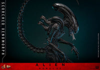 HOT TOYS Alien: Romulus Figura Movie Masterpiece 1/6 Scorched Xenomorph 44 cm