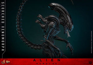 HOT TOYS Alien: Romulus Figura Movie Masterpiece 1/6 Scorched Xenomorph 44 cm