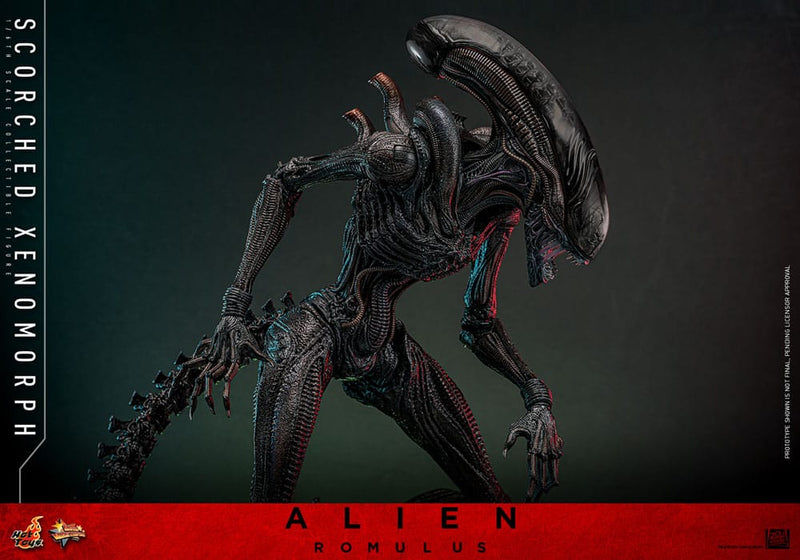 HOT TOYS Alien: Romulus Figura Movie Masterpiece 1/6 Scorched Xenomorph 44 cm