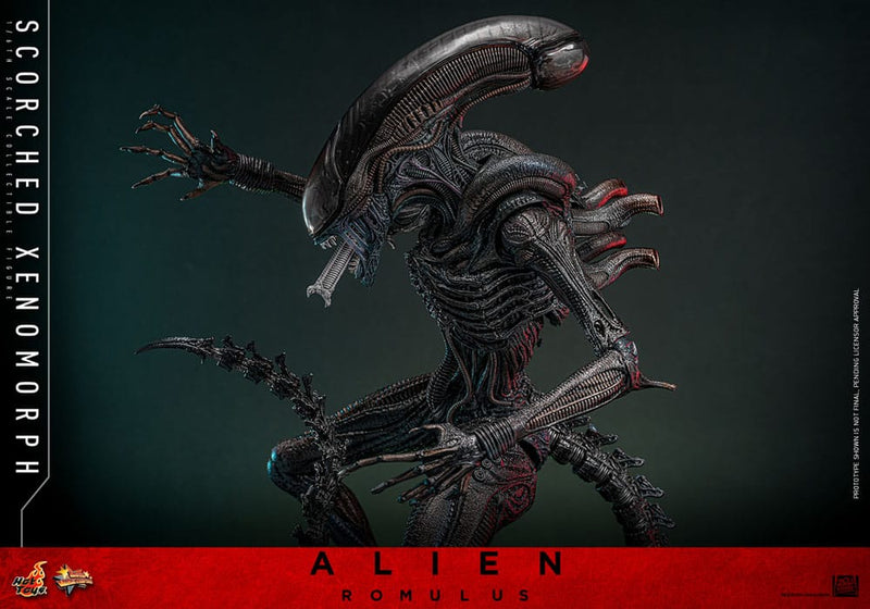 HOT TOYS Alien: Romulus Figura Movie Masterpiece 1/6 Scorched Xenomorph 44 cm