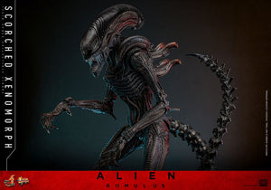 HOT TOYS Alien: Romulus Figura Movie Masterpiece 1/6 Scorched Xenomorph 44 cm