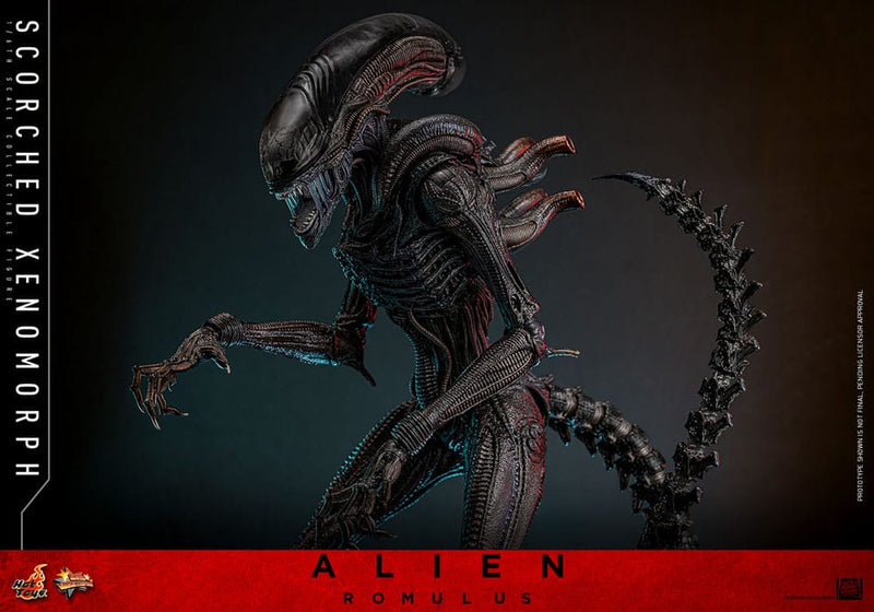 HOT TOYS Alien: Romulus Figura Movie Masterpiece 1/6 Scorched Xenomorph 44 cm