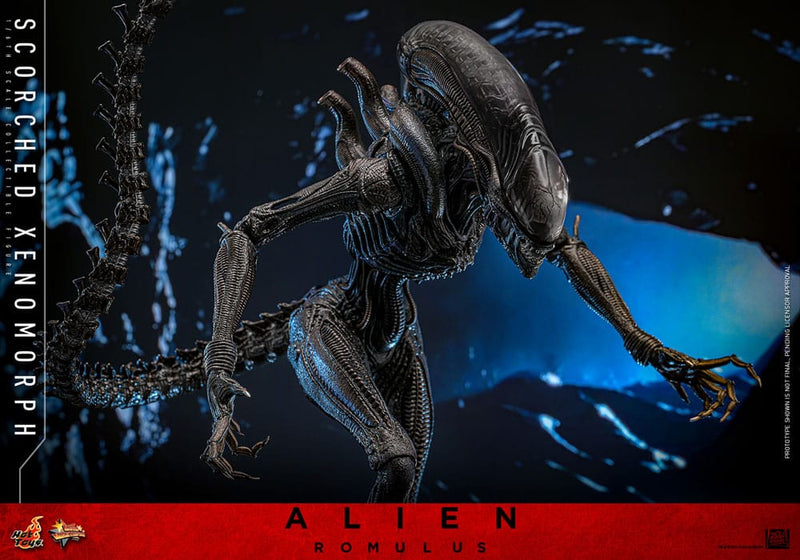 HOT TOYS Alien: Romulus Figura Movie Masterpiece 1/6 Scorched Xenomorph 44 cm