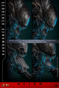 HOT TOYS Alien: Romulus Figura Movie Masterpiece 1/6 Scorched Xenomorph 44 cm