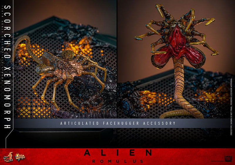 HOT TOYS Alien: Romulus Figura Movie Masterpiece 1/6 Scorched Xenomorph 44 cm