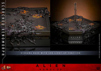 HOT TOYS Alien: Romulus Figura Movie Masterpiece 1/6 Scorched Xenomorph 44 cm