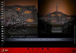 HOT TOYS Alien: Romulus Figura Movie Masterpiece 1/6 Scorched Xenomorph 44 cm