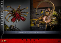 HOT TOYS Alien: Romulus Figura Movie Masterpiece 1/6 Rain Carradine 26 cm