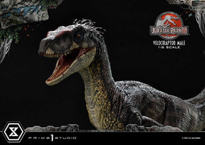 Prime 1 Studio Jurassic Park III Estatua Legacy Museum Collection 1/6 Velociraptor Male 40 cm
