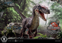 Prime 1 Studio Jurassic Park III Estatua Legacy Museum Collection 1/6 Velociraptor Male Bonus Version 40 cm
