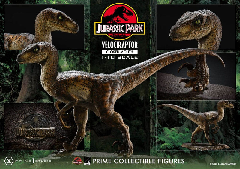 PRIME 1 Jurassic Park Estatua Prime Collectibles 1/10 Velociraptor Closed Mouth 19 cm