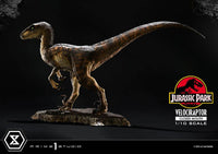 PRIME 1 Jurassic Park Estatua Prime Collectibles 1/10 Velociraptor Closed Mouth 19 cm