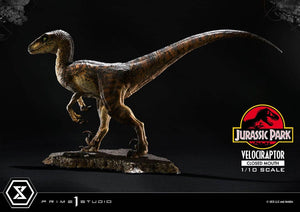 PRIME 1 Jurassic Park Estatua Prime Collectibles 1/10 Velociraptor Closed Mouth 19 cm