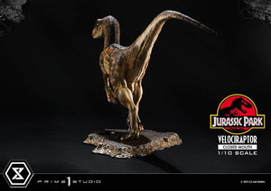 PRIME 1 Jurassic Park Estatua Prime Collectibles 1/10 Velociraptor Closed Mouth 19 cm