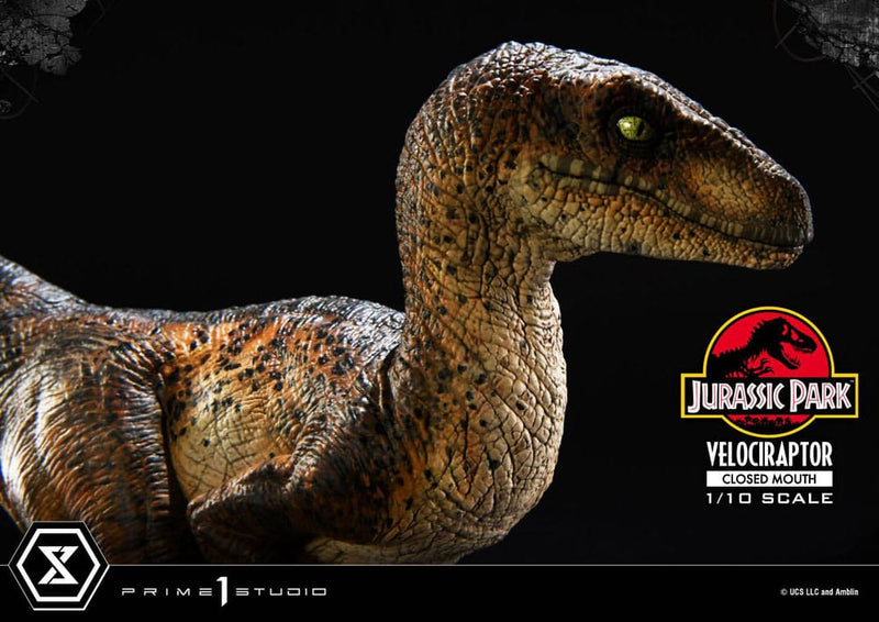 PRIME 1 Jurassic Park Estatua Prime Collectibles 1/10 Velociraptor Closed Mouth 19 cm