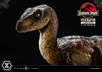 PRIME 1 Jurassic Park Estatua Prime Collectibles 1/10 Velociraptor Closed Mouth 19 cm