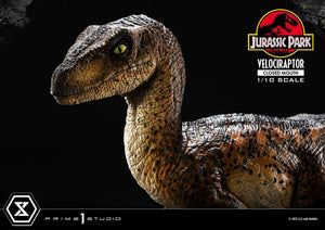 PRIME 1 Jurassic Park Estatua Prime Collectibles 1/10 Velociraptor Closed Mouth 19 cm