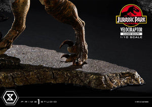 PRIME 1 Jurassic Park Estatua Prime Collectibles 1/10 Velociraptor Closed Mouth 19 cm