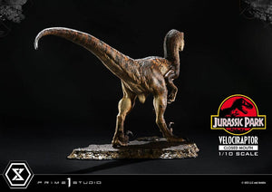 PRIME 1 Jurassic Park Estatua Prime Collectibles 1/10 Velociraptor Closed Mouth 19 cm