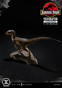 PRIME 1 Jurassic Park Estatua Prime Collectibles 1/10 Velociraptor Closed Mouth 19 cm